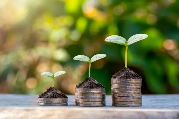Financial Incentives for Going Greener