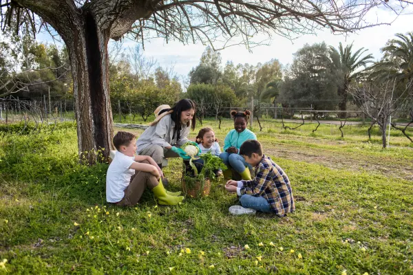 education on Greener Energy alternatives in Canada